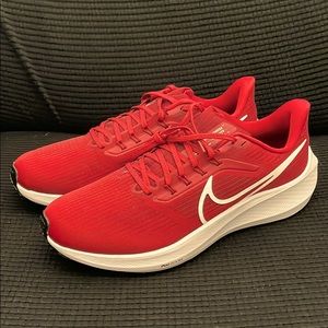 Men’s Nike Air Pegasus